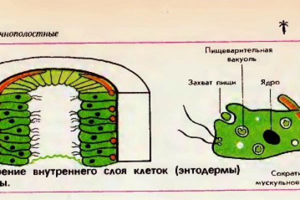 Кракен найти сайт