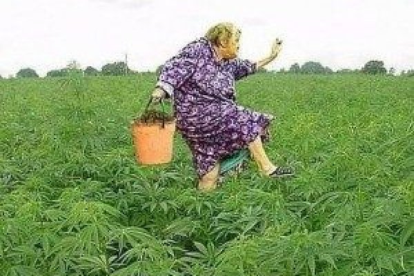 Где купить наркотиков