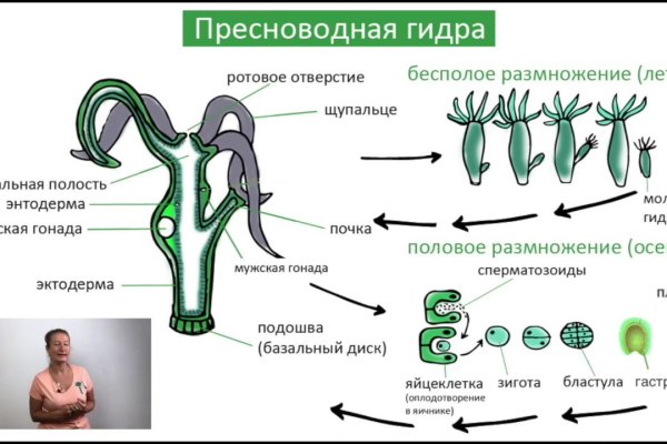 Kraken 4 ссылка