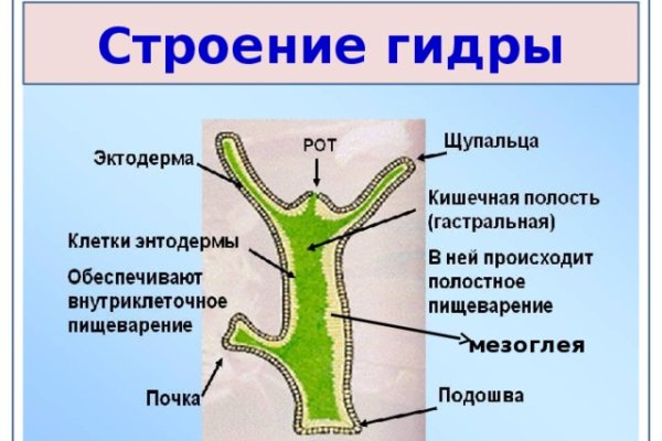 Кракен мага